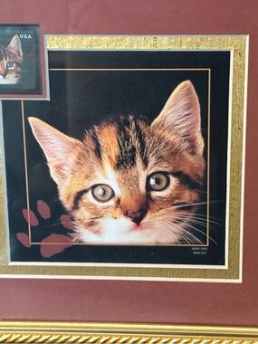Tabby Cat Stamp Spay and Neuter Framed Art
